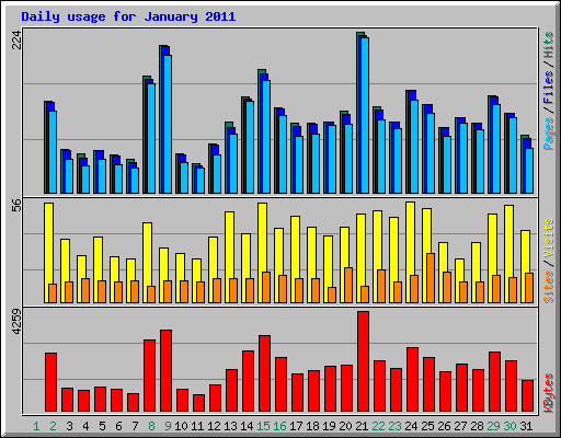 Daily usage for January 2011