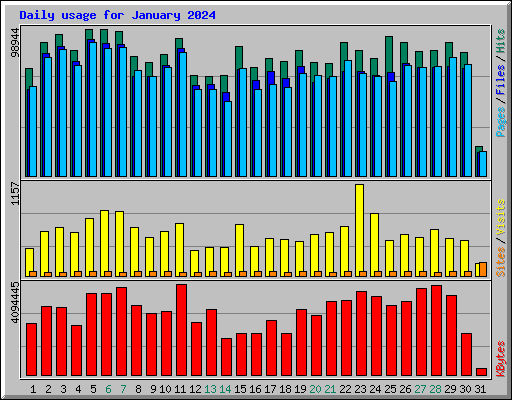 Daily usage for January 2024