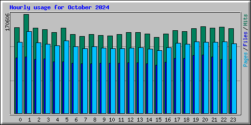 Hourly usage for October 2024