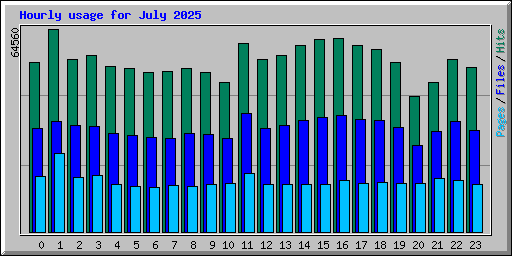 Hourly usage for July 2025