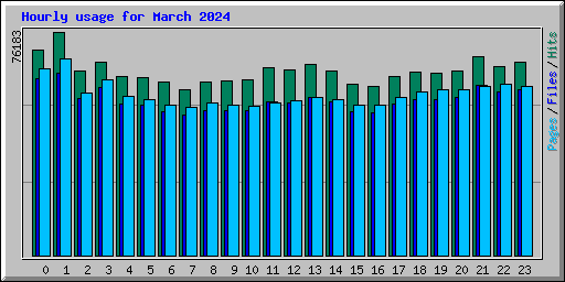 Hourly usage for March 2024