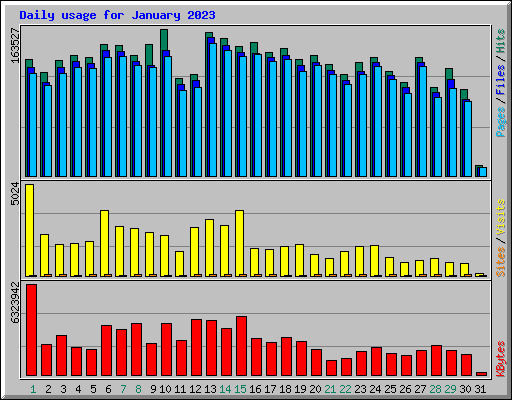 Daily usage for January 2023