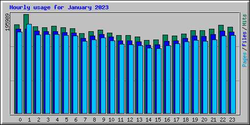 Hourly usage for January 2023
