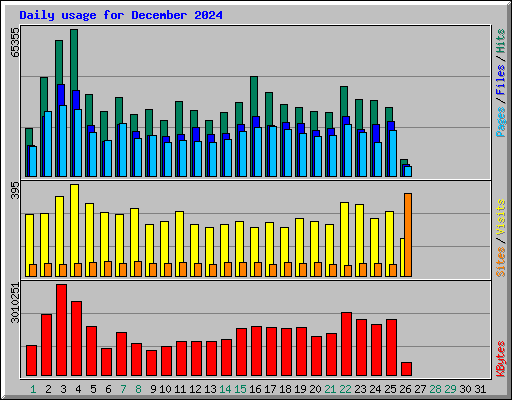 Daily usage for December 2024