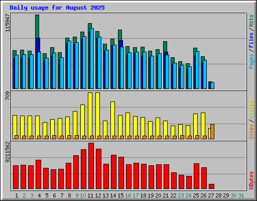 Daily usage for August 2025