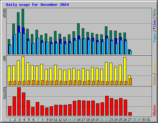 Daily usage for December 2024