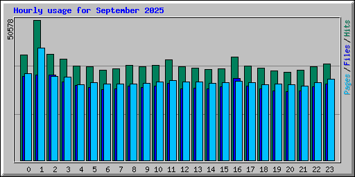 Hourly usage for September 2025